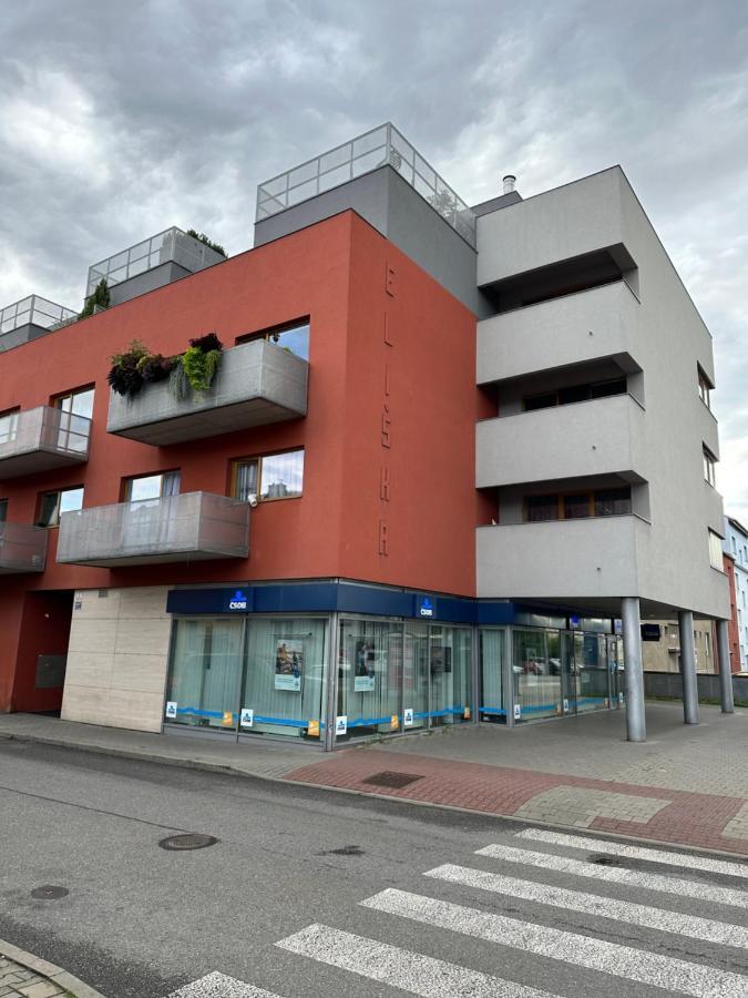 Apartments Spacilova Nearly Center Komarov エクステリア 写真